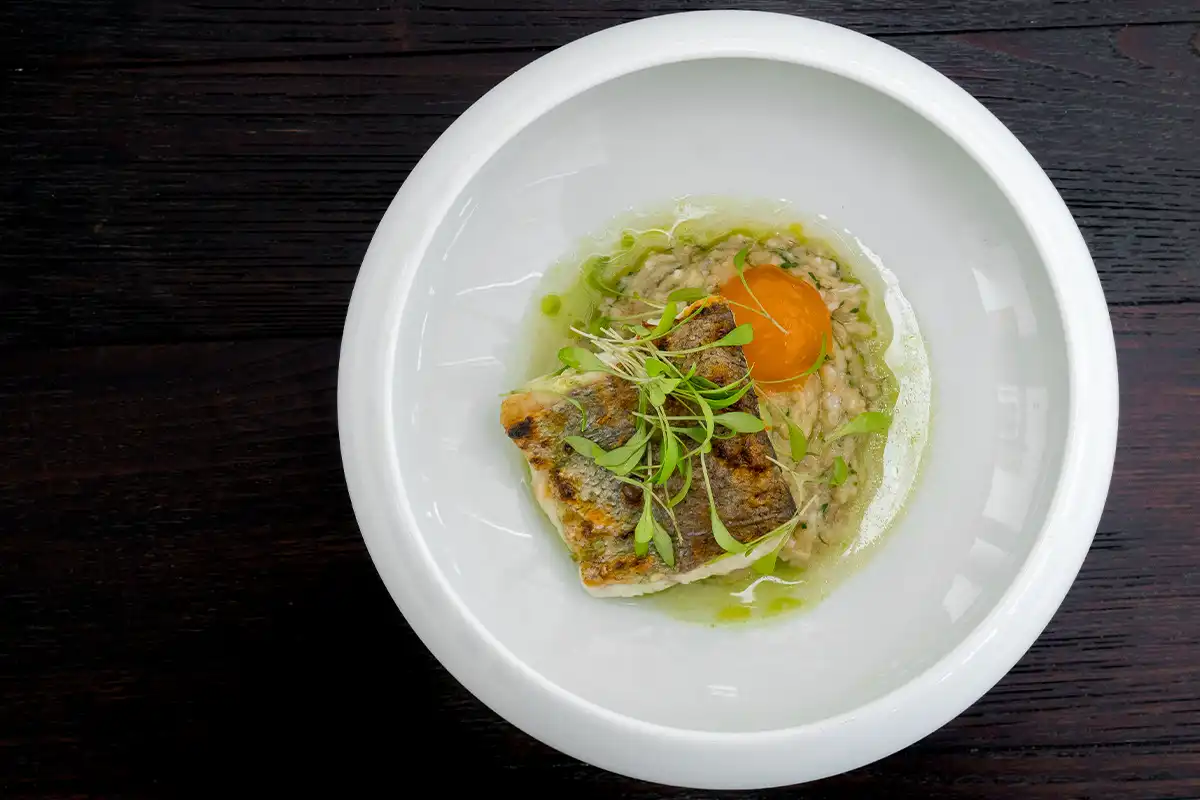 Platos de VINUM